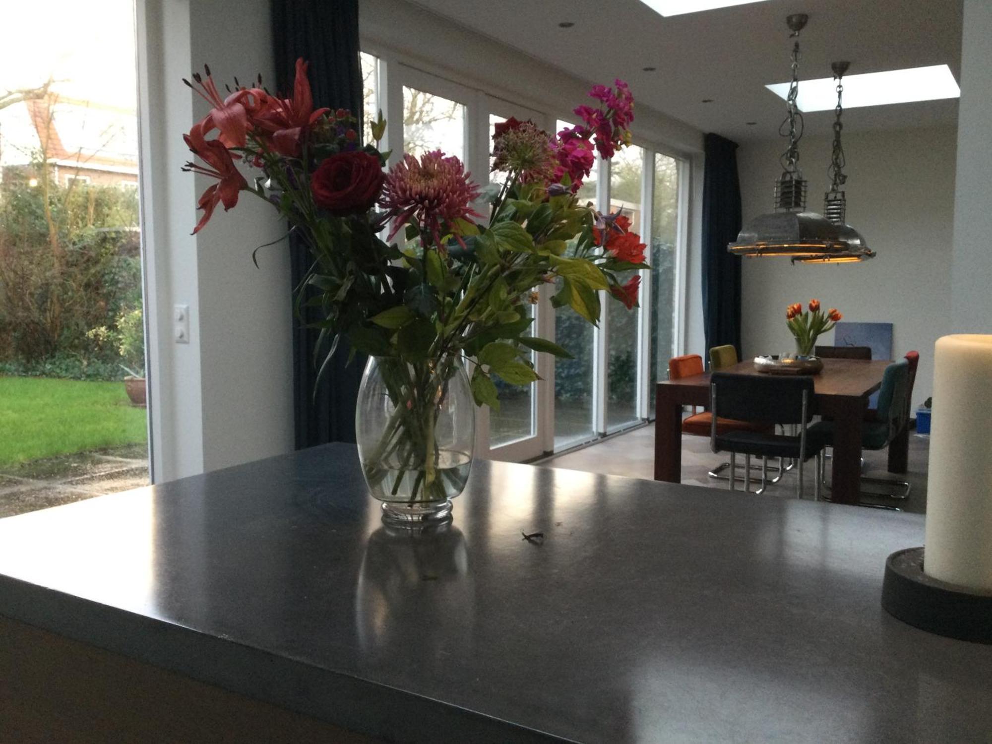Villa Cosy Central Incl Jacuzzi Near Trainstation, Beach And City Хемстеде Экстерьер фото